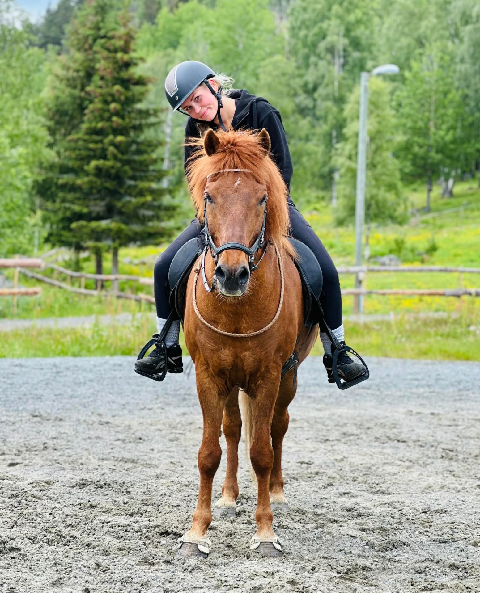 Stjarni fra Sigersberg Eier: Kristina Madsen