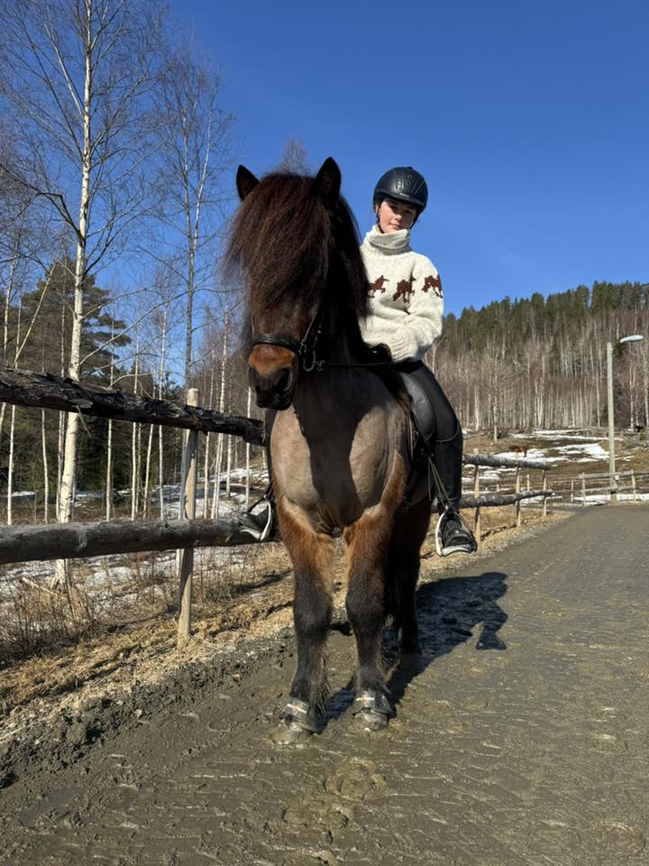 Gustur Fra Højgaarden Eier: Ina Engan Moen