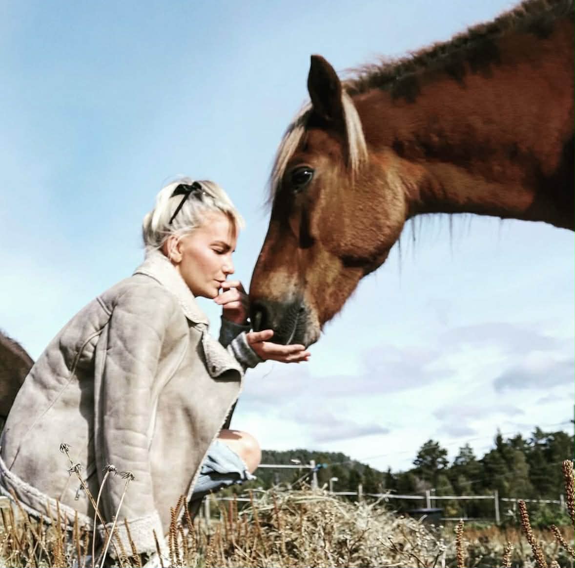 Nabbi fra Holakoti Eier: Kristina Madsen