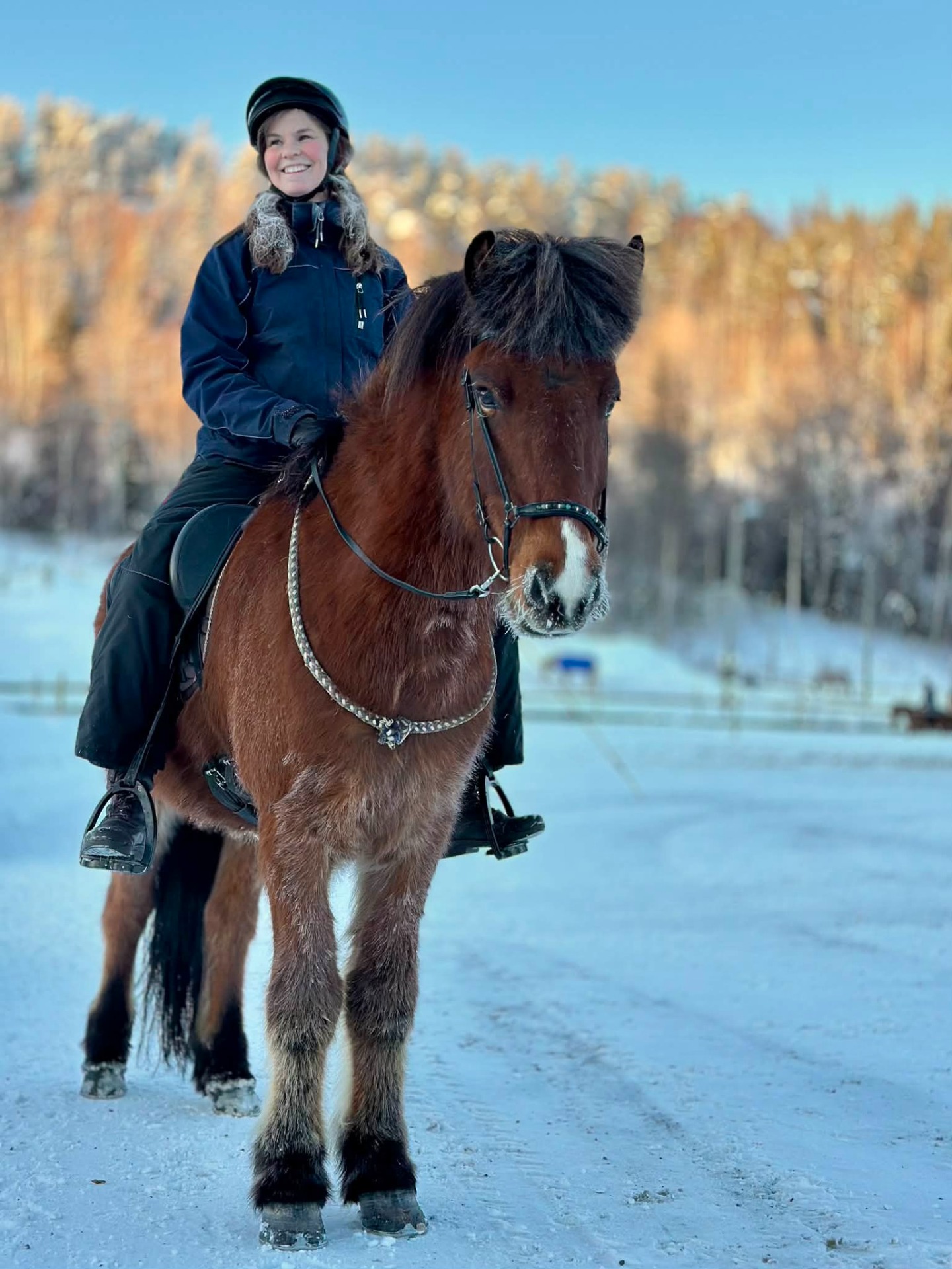 Bassi fra Kvistli Eier: Ann Kristin Goderstad