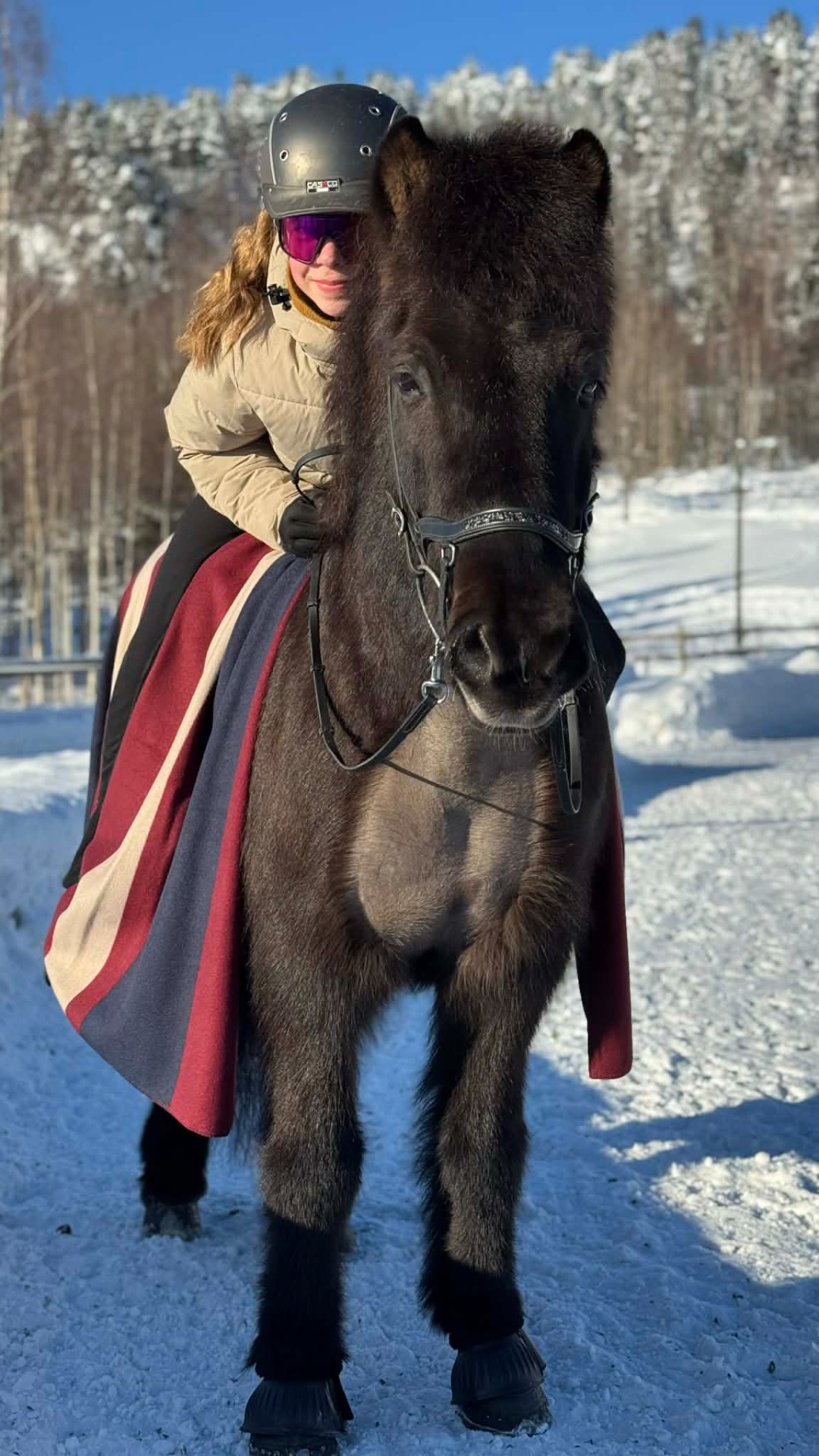 Stáli fra Fossanmoen Eier: Ulrikke Tansø