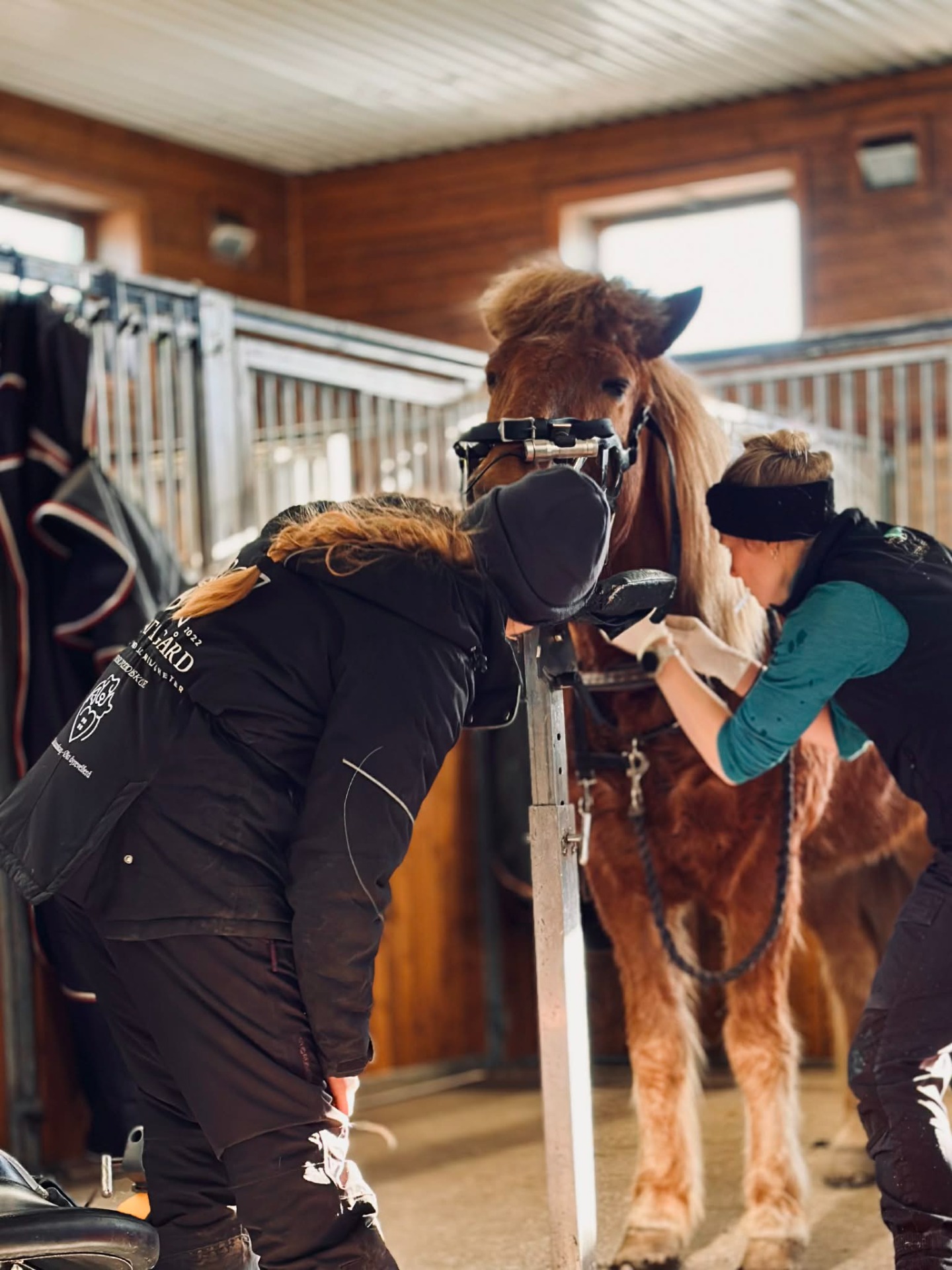 Veterinær Monica Slora Nilsen med assistanse av Randi