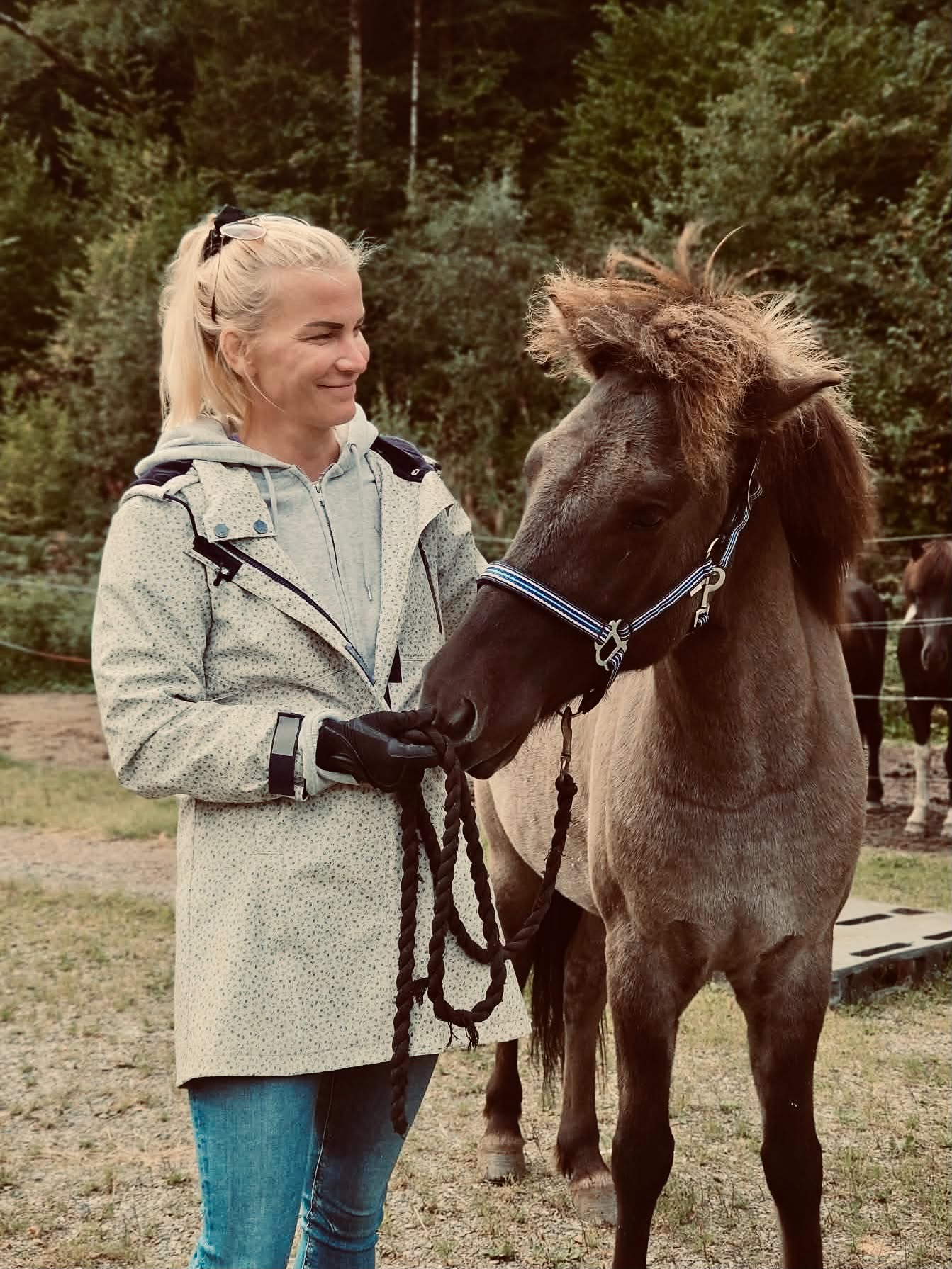 Tyr fra Hægbostad Eier: Kristina Madsen 